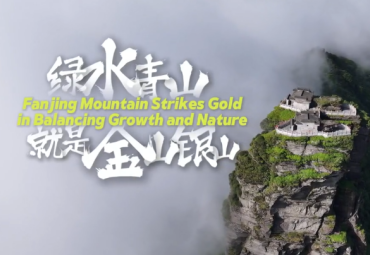 Fanjing Mountain strikes gold in balancing growth and nature