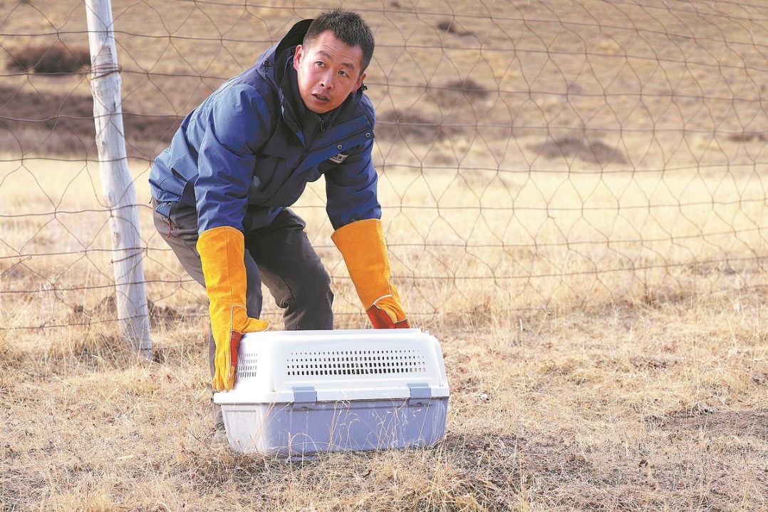 Animals get a second chance at life