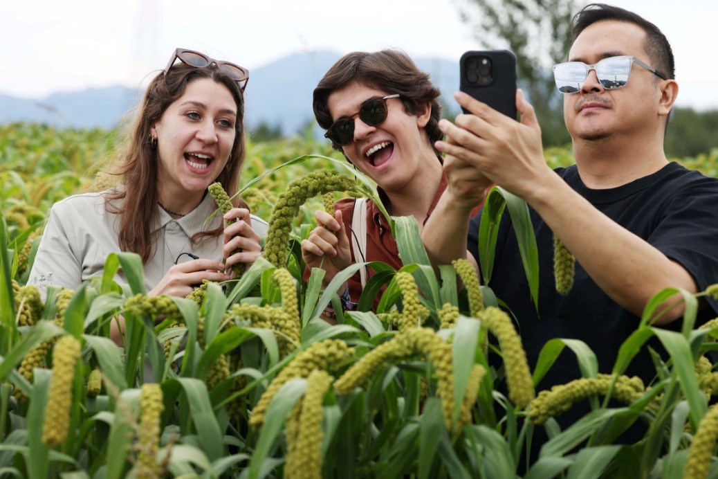Organic agriculture forum unites global experts in Datong