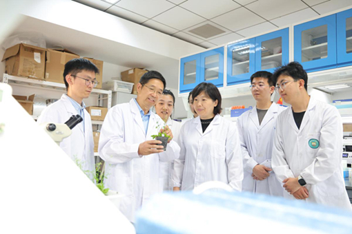 Chinese study reveals how single cells develop into whole plants