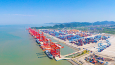 Zhoushan's Dapukou terminal posts 56% surge in August throughput