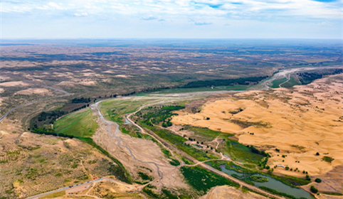 Kubuqi Desert treatment draws global attention
