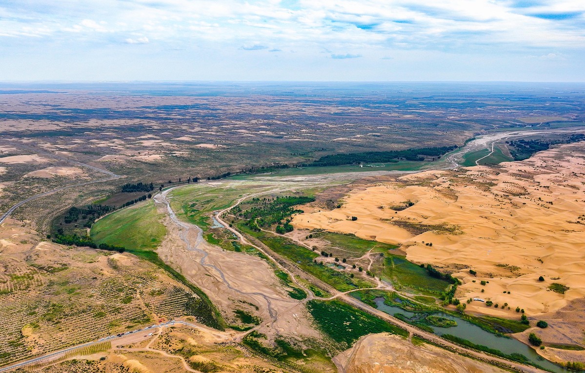 China desertification control method wows intl delegates