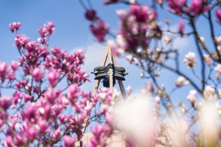 Encounter spring at Sanxingdui Museum