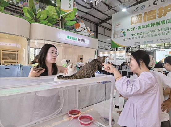 Pet culture park opens in Taizhou with international cat show