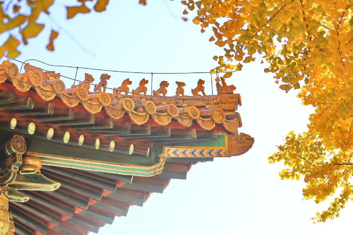 Lightning rod installation provides protection for Palace Museum's architecture