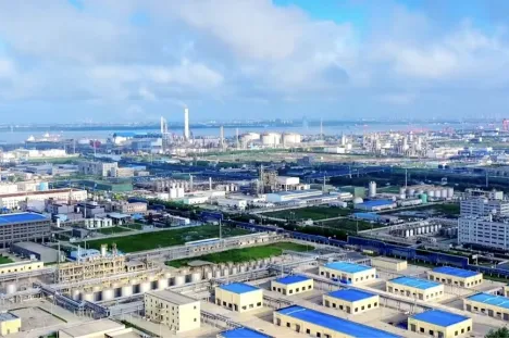 Taixing's low-carbon olefin extended functional materials industry cluster recognized