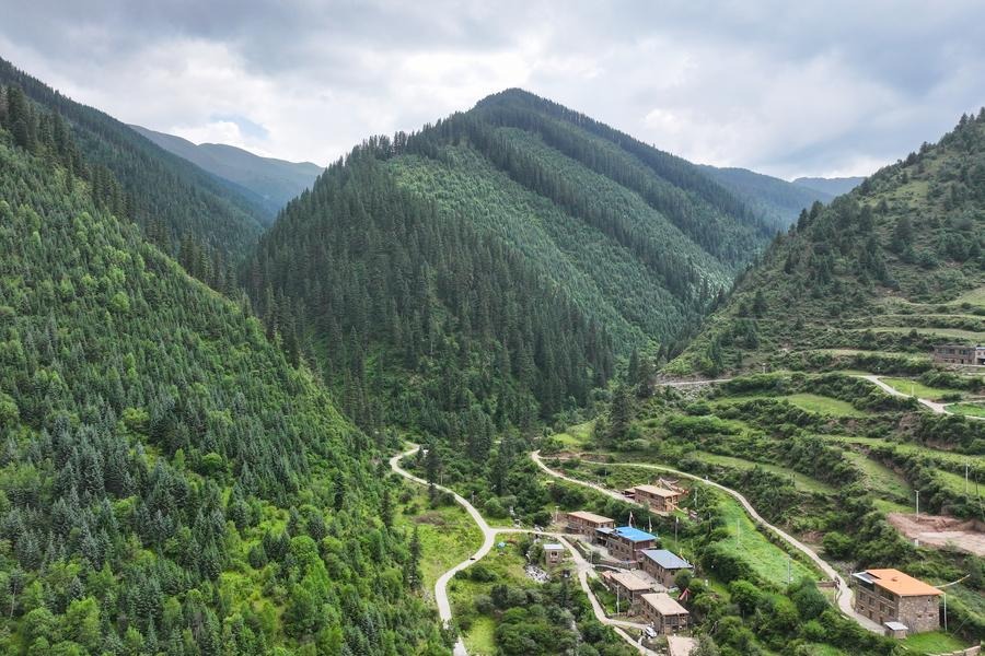 From logging to guardianship: How China protects green source of its 'mother river'