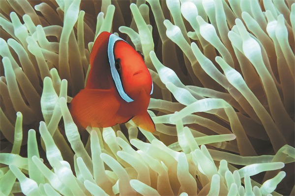 Riding the waves of change