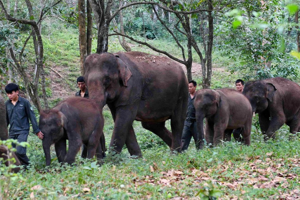 'Rewilding' promoted as key contributor to conservation efforts