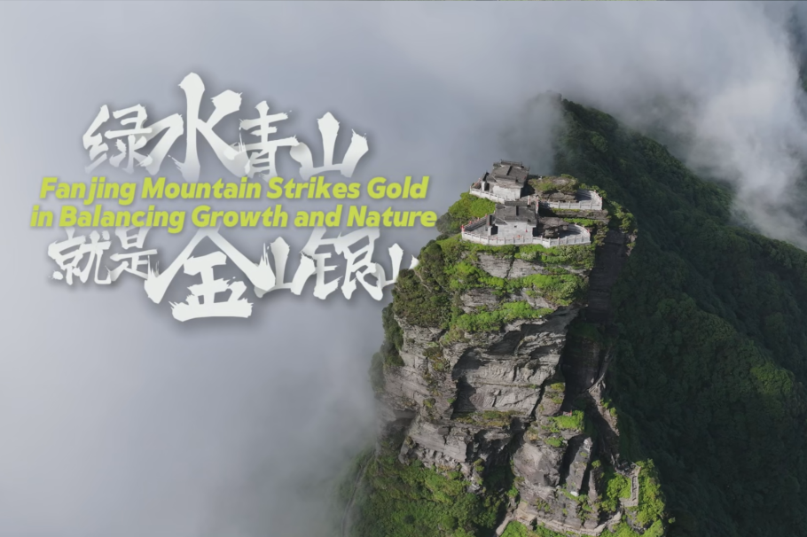 Fanjing Mountain strikes gold in balancing growth and nature