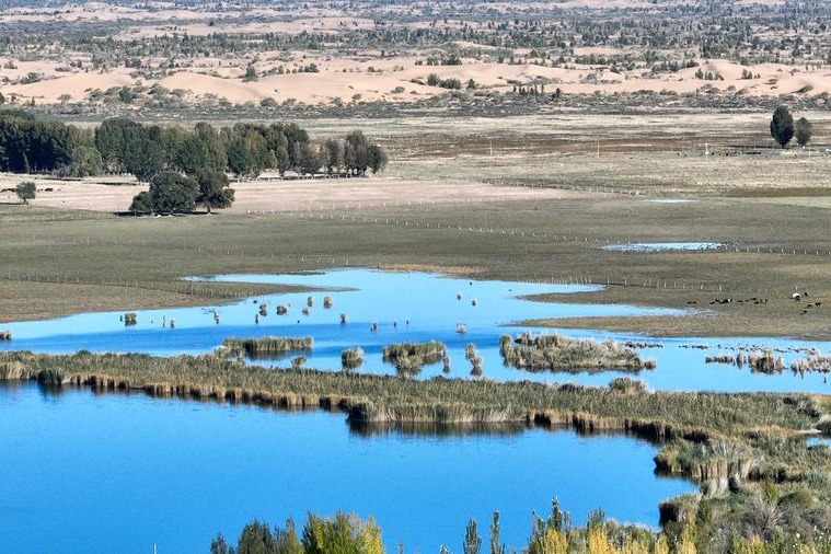 North China's barren salt flats turn into rice fields, tourist attractions
