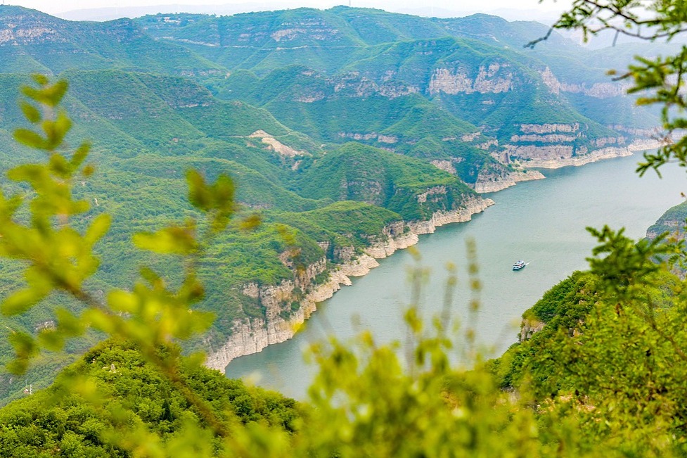 Conservation efforts paying off for Yellow River basin ecology