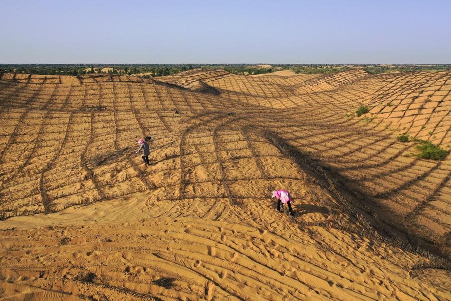 China shares decades of anti-desertification experience at intl forum