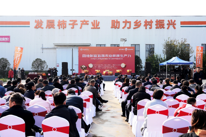 Festival and conference held to promote persimmon industry growth