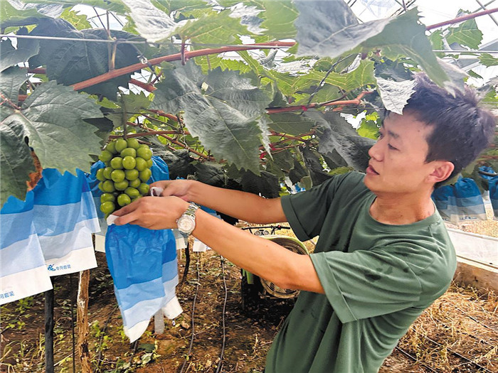 Rural vitalization, help for aged go hand in hand