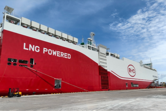 Chinese brands lead Israel's electric car sales in Jan-Oct