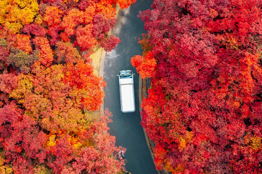 Guide to enjoying red autumn leaves in Shandong