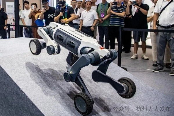 Hangzhou to introduce China's first local legislation on embodied intelligent robots