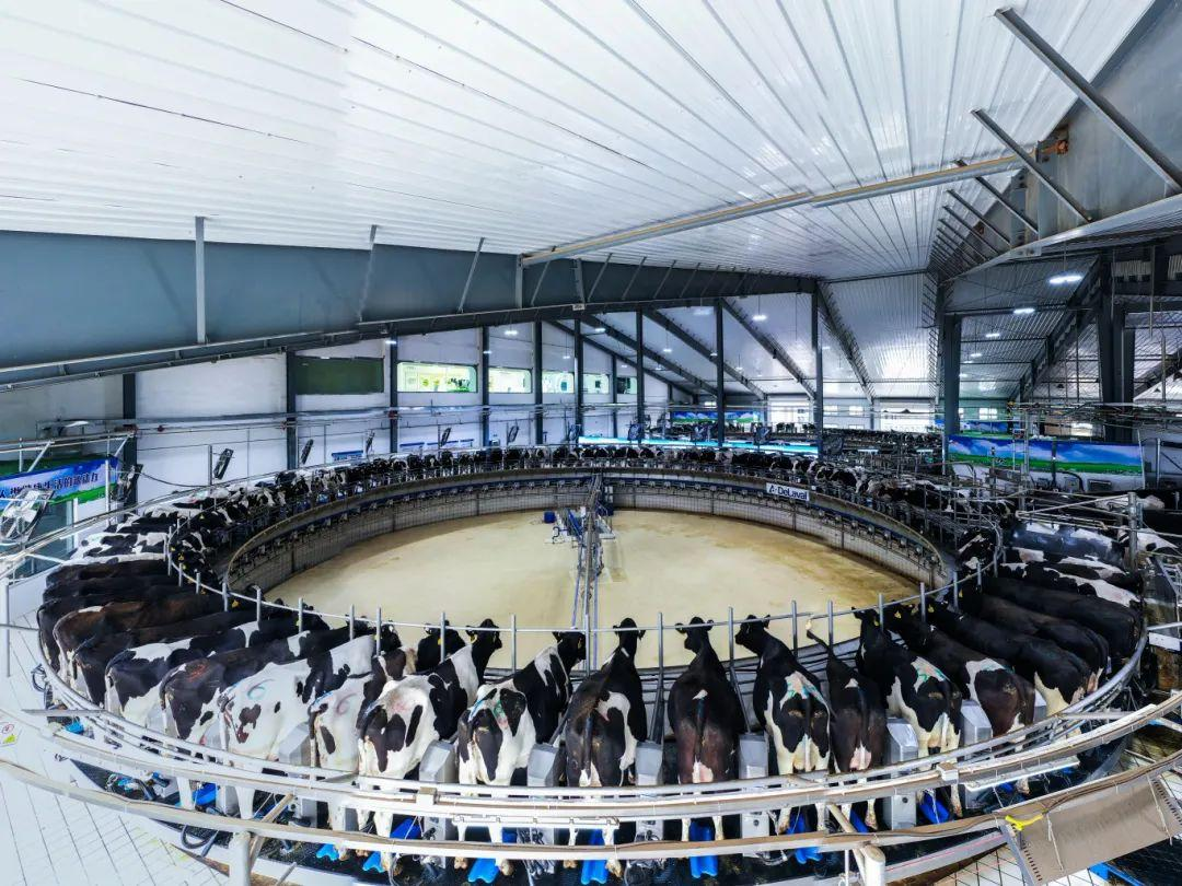 Hohhot's green agricultural and livestock processing industry cluster expands