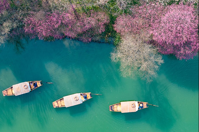 Digital transformation boosts growth in Yangtze River Delta