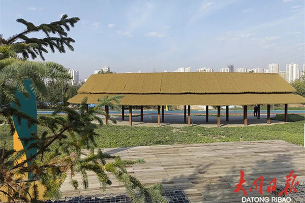 Datong Daylily Theme Park: A cultural oasis in autumn