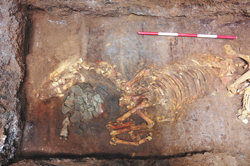 DNA study reveals East-West exchanges over 2,000 years ago