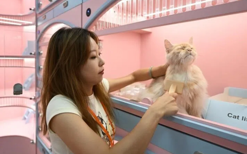 Zhejiang to boost pet economy to 50 billion yuan by 2030