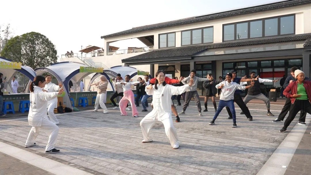 Foreign students explore traditional Chinese medicine in Changzhou