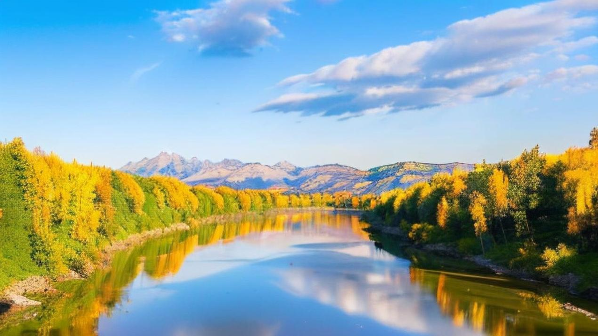 Tai'an's Xintai forges new industrial path through innovation