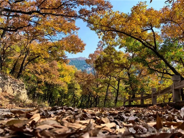 Step into tranquil winter at Taishan Mountain
