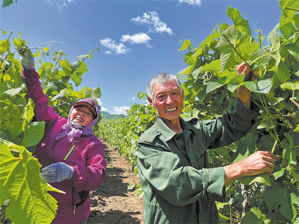 Money grown on trees