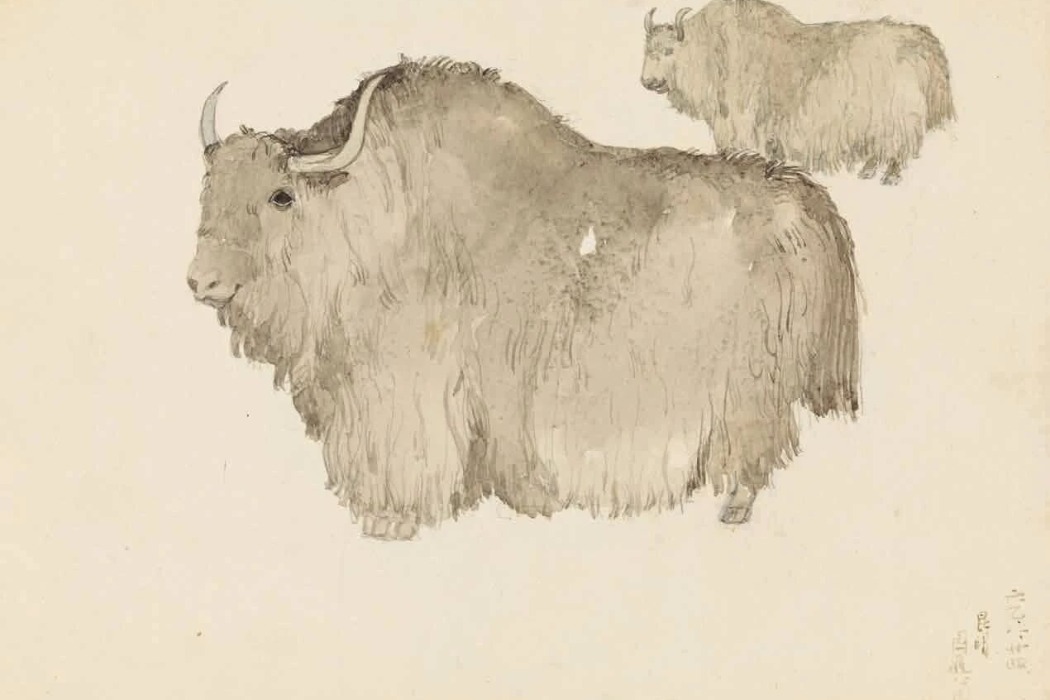 National academy highlights evolution of line drawing