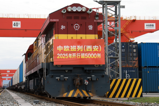 ​China-Europe Railway Express (Xi'an) sets record from Jan-Oct