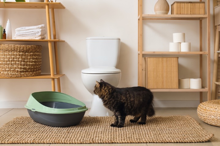 East China province backs innovation in pursuit of pet economy upgrade