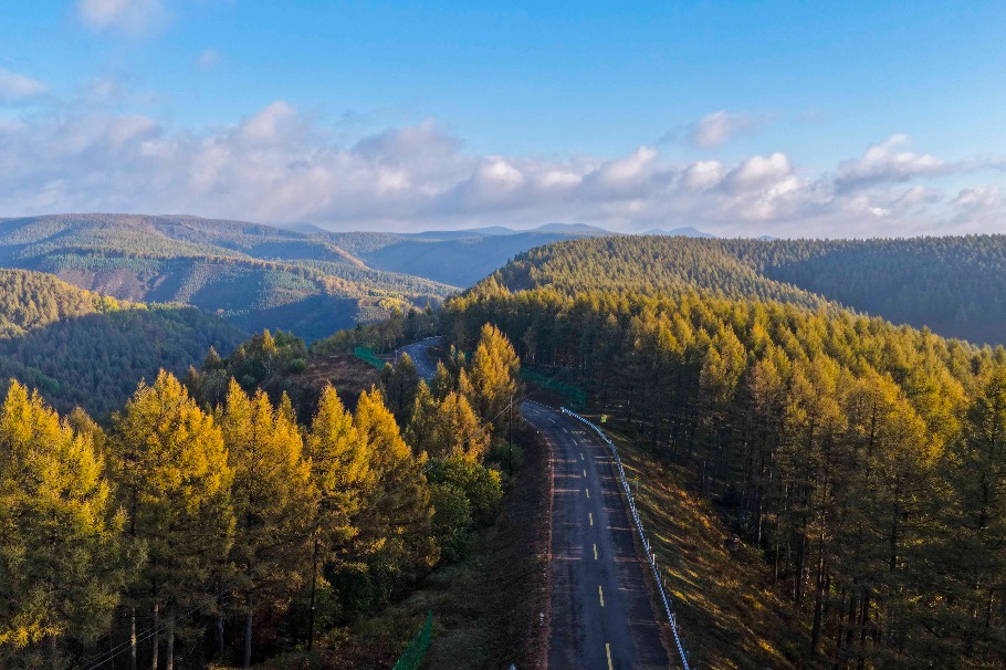 Decades of effort at Saihanba repay green dividends