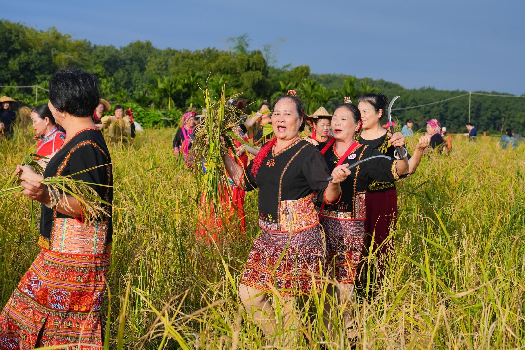Rainforest-themed activities launched in Hainan