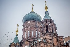 Heilongjiang province