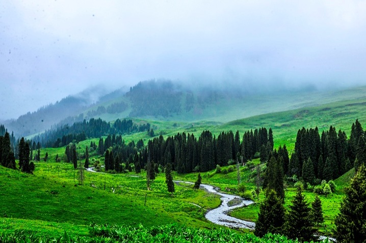 China's glamorous grasslands