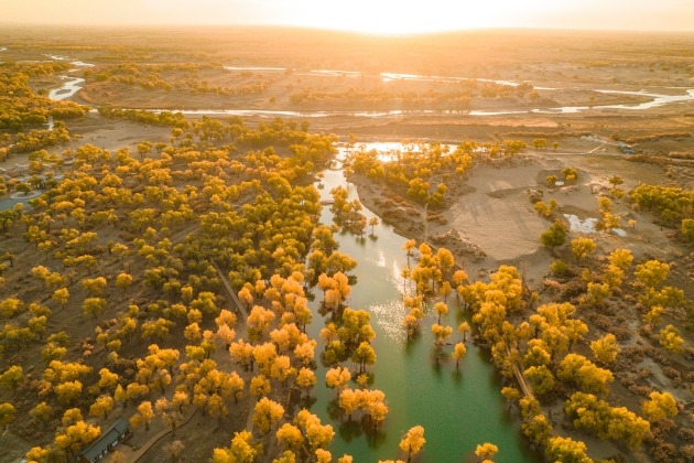Alshaa, Inner Mongolia autonomous region