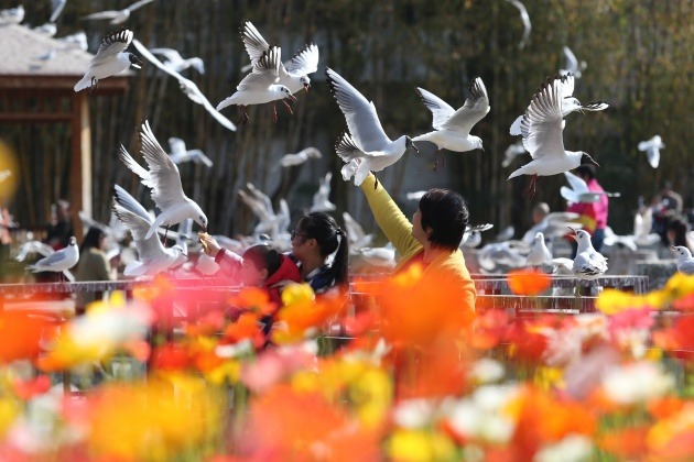 Kunming, Yunnan province