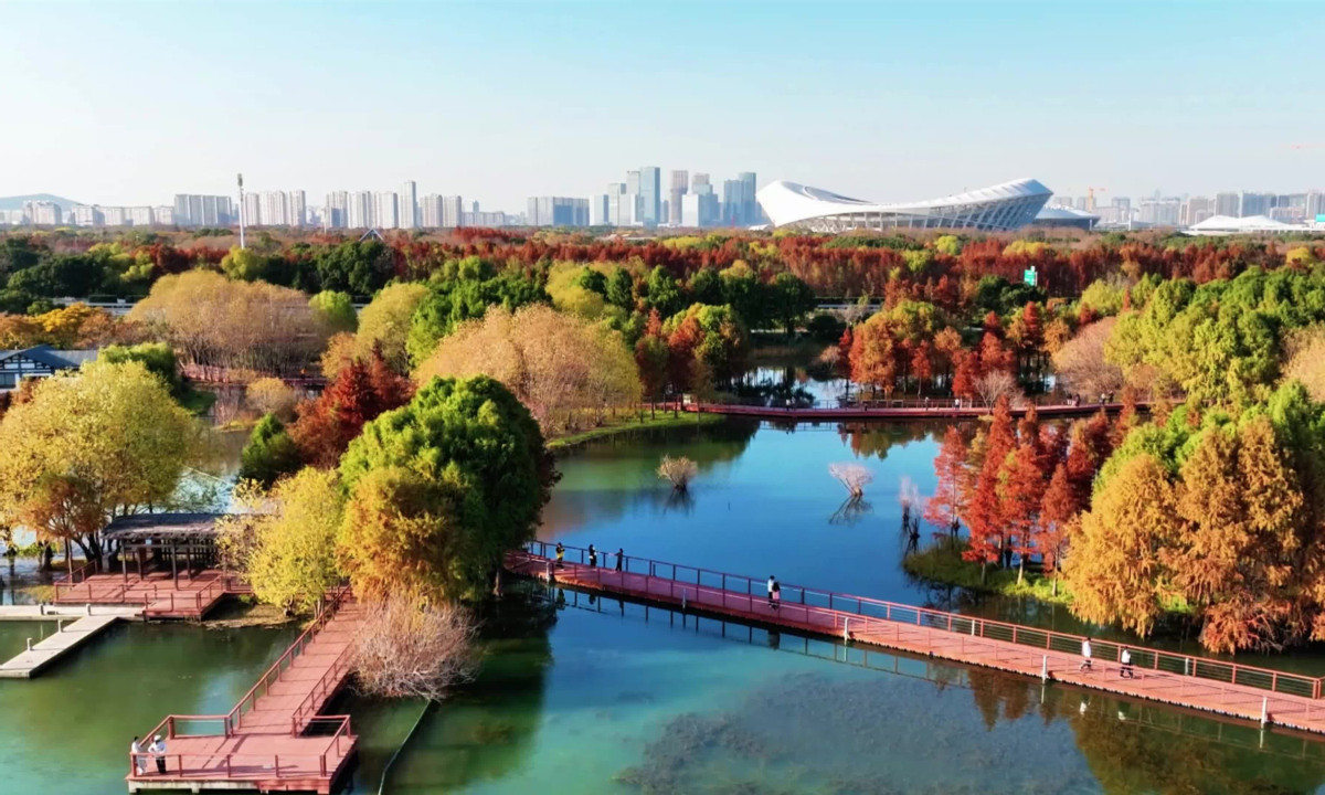 Step into Wuxi's serene winter canvas