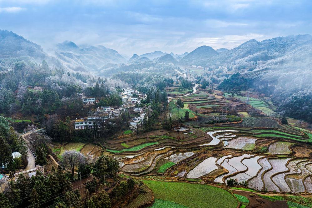Cold front coats Guizhou mountains in rime