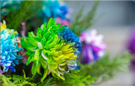 Chrysanthemum fair blossoms in Yangzhou