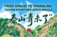 From barren rock to green legacy: Taishan Mountain's ecological revival