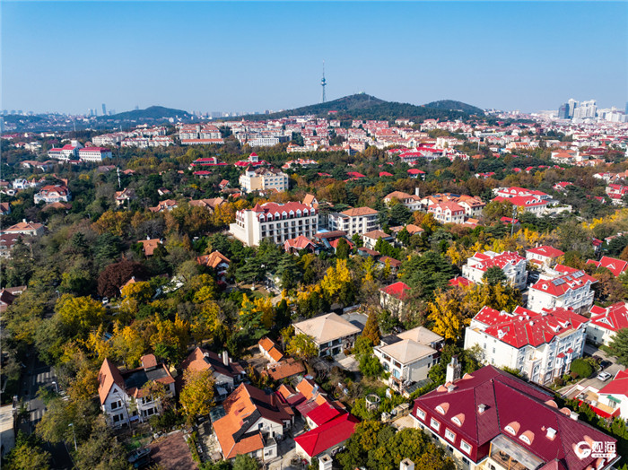 Qingdao advances as livable, modern metropolis through integrated management