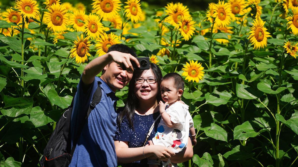 Ningxia offers near-total childbirth cost coverage to reduce burden on families
