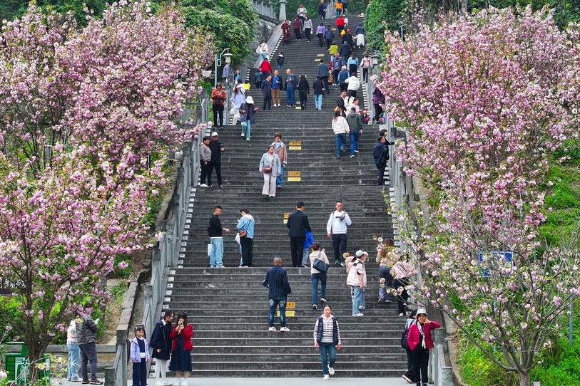 Cross-border travel surge expected during Qingming holiday