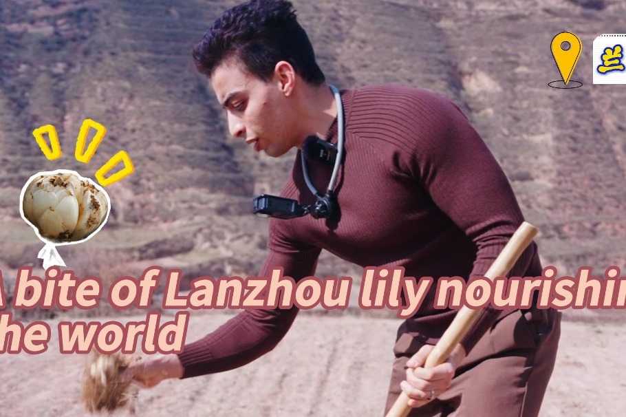 Lanzhou lily takes nine years to grow, expands into global markets