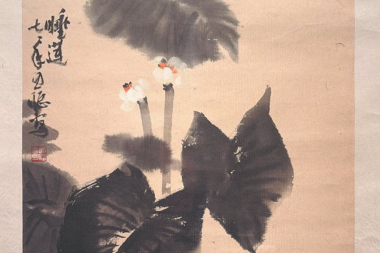 The therapeutic power of lotus flowers